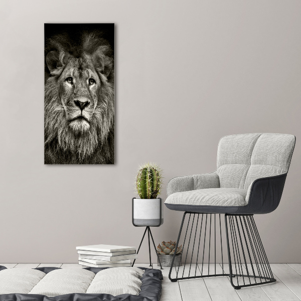 Acrylic glass print Lion