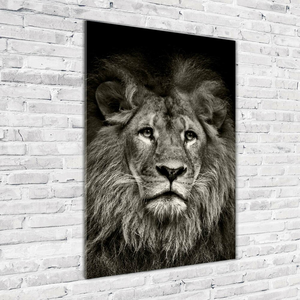 Acrylic glass print Lion