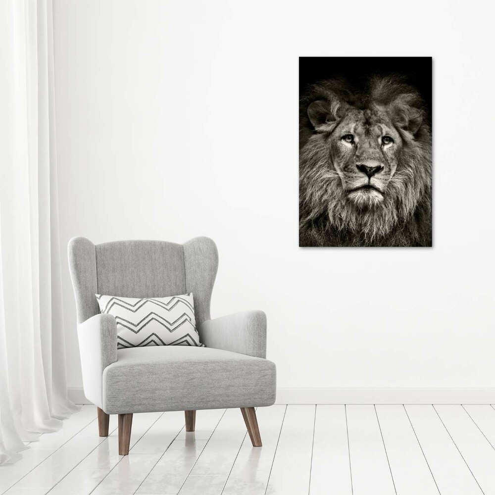 Acrylic glass print Lion