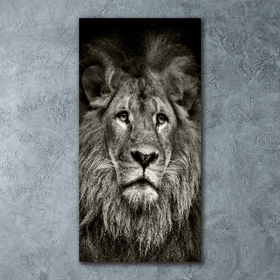 Acrylic glass print Lion