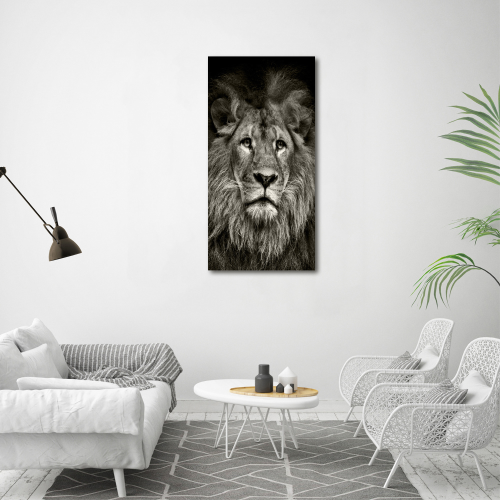 Acrylic glass print Lion