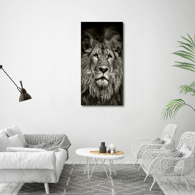 Acrylic glass print Lion