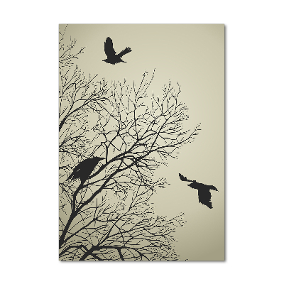 Acrylic glass print Crows