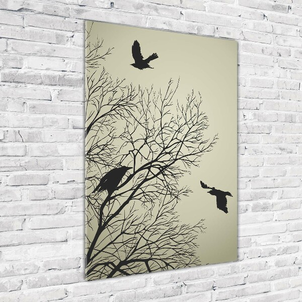 Acrylic glass print Crows