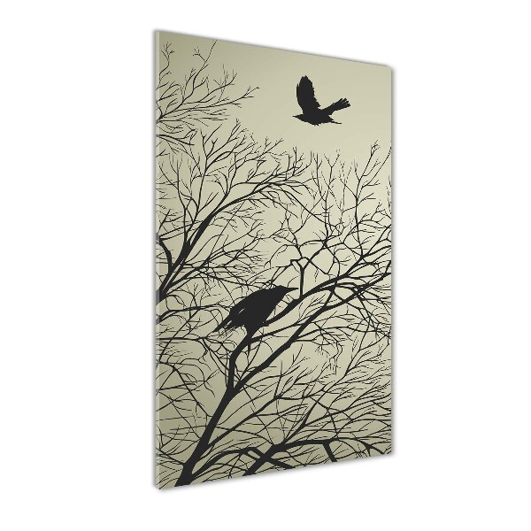 Acrylic glass print Crows