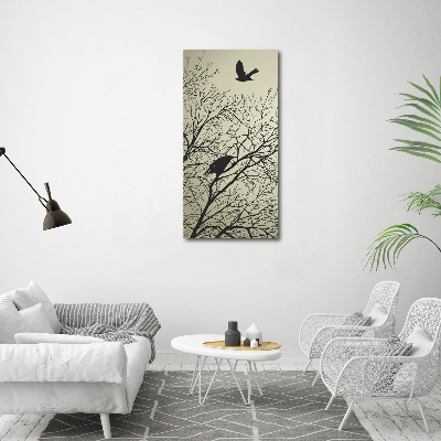 Acrylic glass print Crows