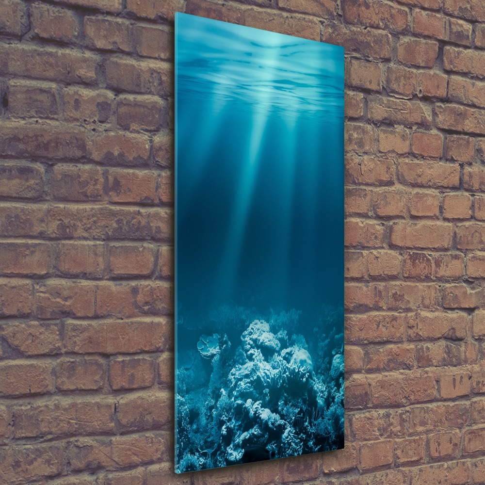 Print on acrylic Underwater world