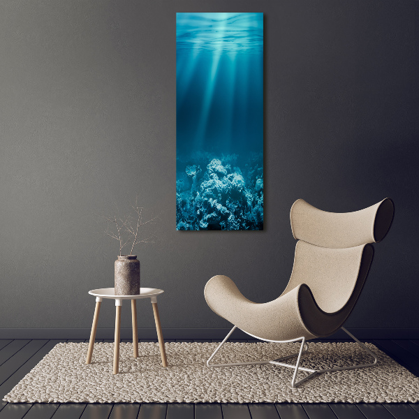 Print on acrylic Underwater world