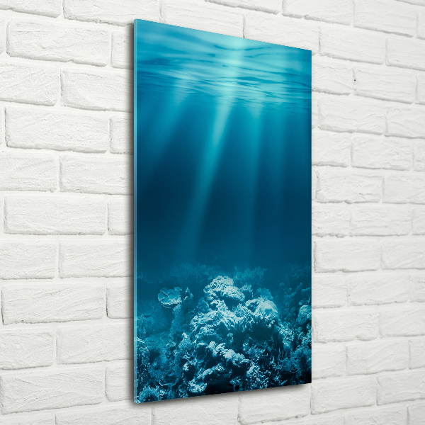 Print on acrylic Underwater world