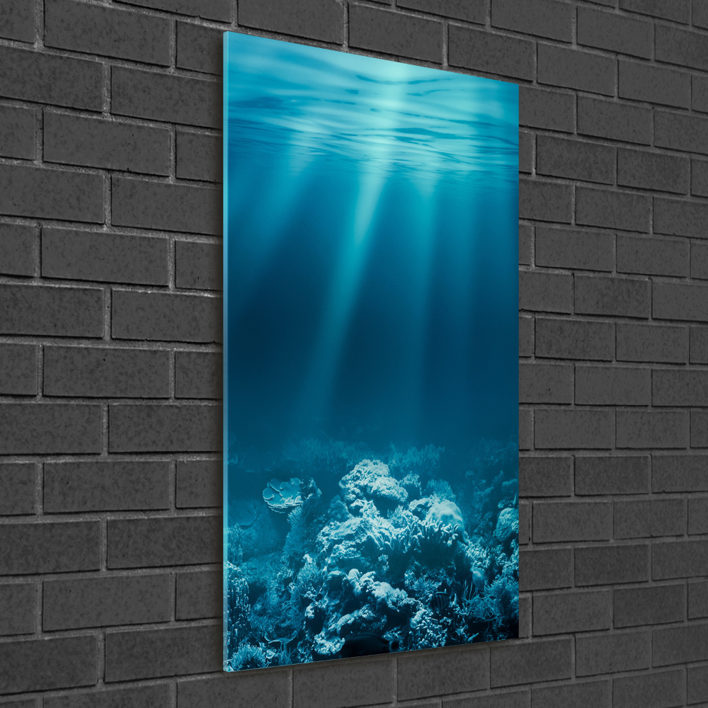 Print on acrylic Underwater world