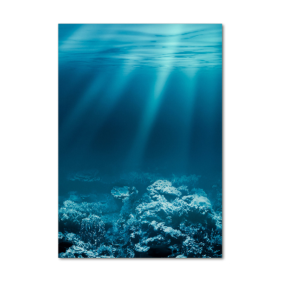 Print on acrylic Underwater world