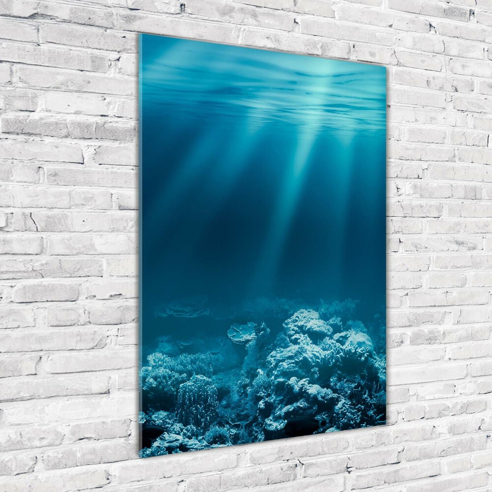 Print on acrylic Underwater world