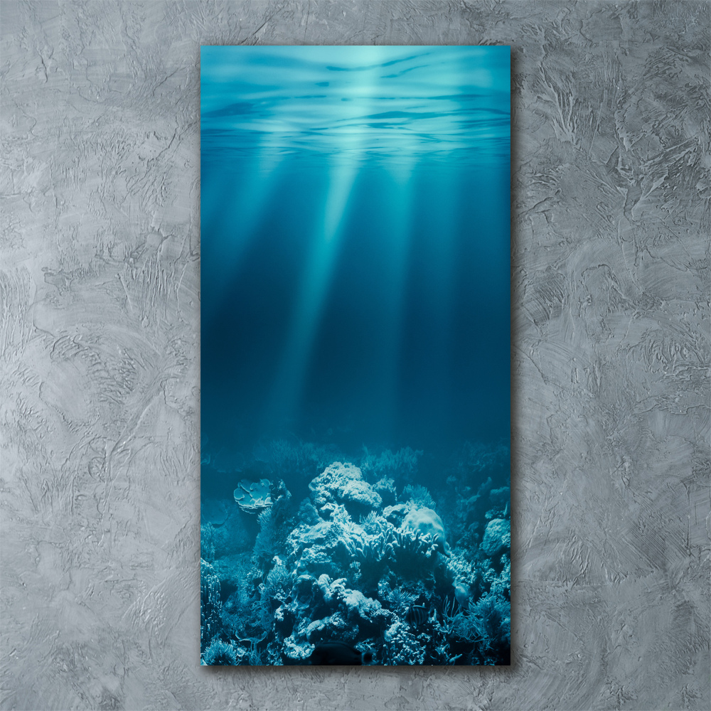 Print on acrylic Underwater world