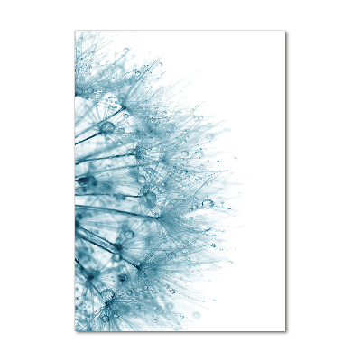 Print on acrylic Dandelion seeds