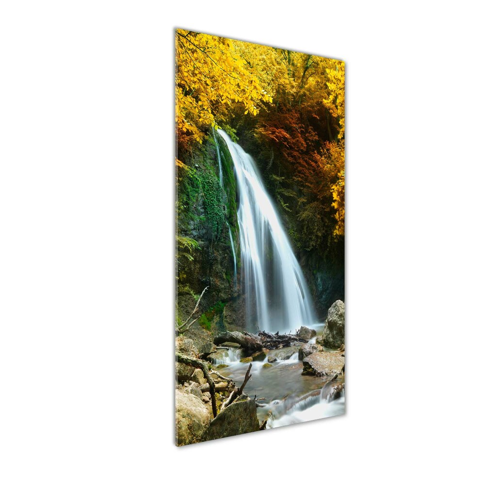 Acrylic wall art Waterfall in the forest