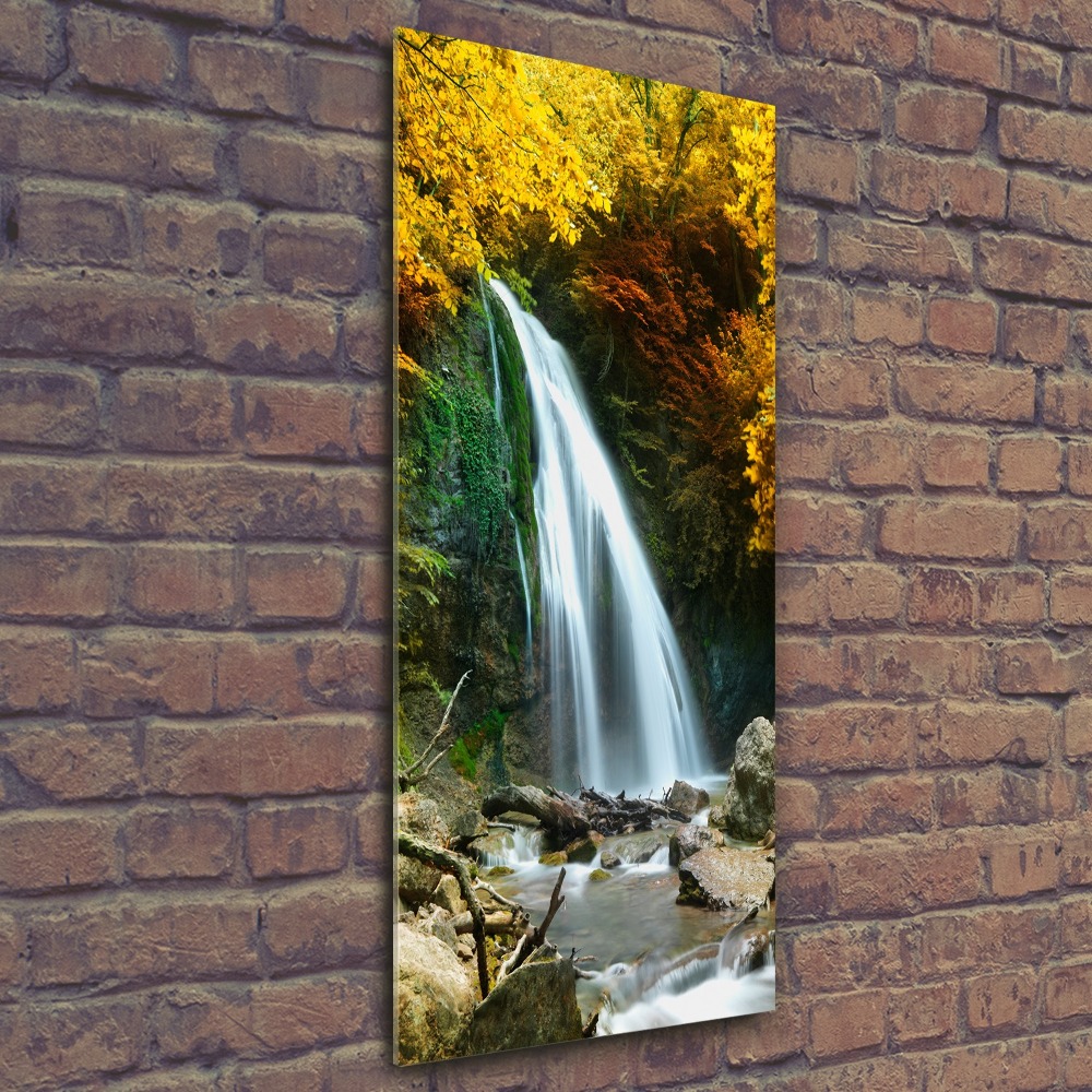 Acrylic wall art Waterfall in the forest