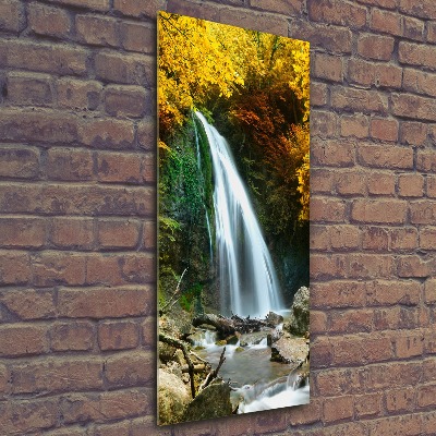 Acrylic wall art Waterfall in the forest