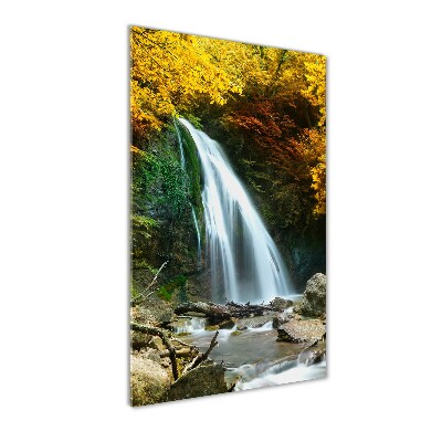 Acrylic wall art Waterfall in the forest