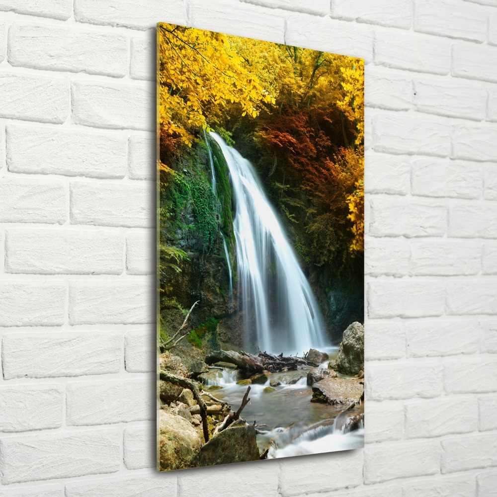 Acrylic wall art Waterfall in the forest