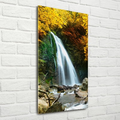 Acrylic wall art Waterfall in the forest