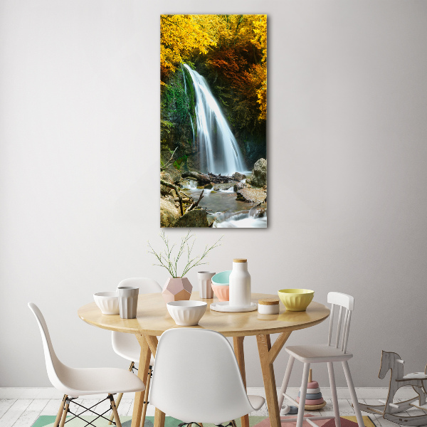 Acrylic wall art Waterfall in the forest