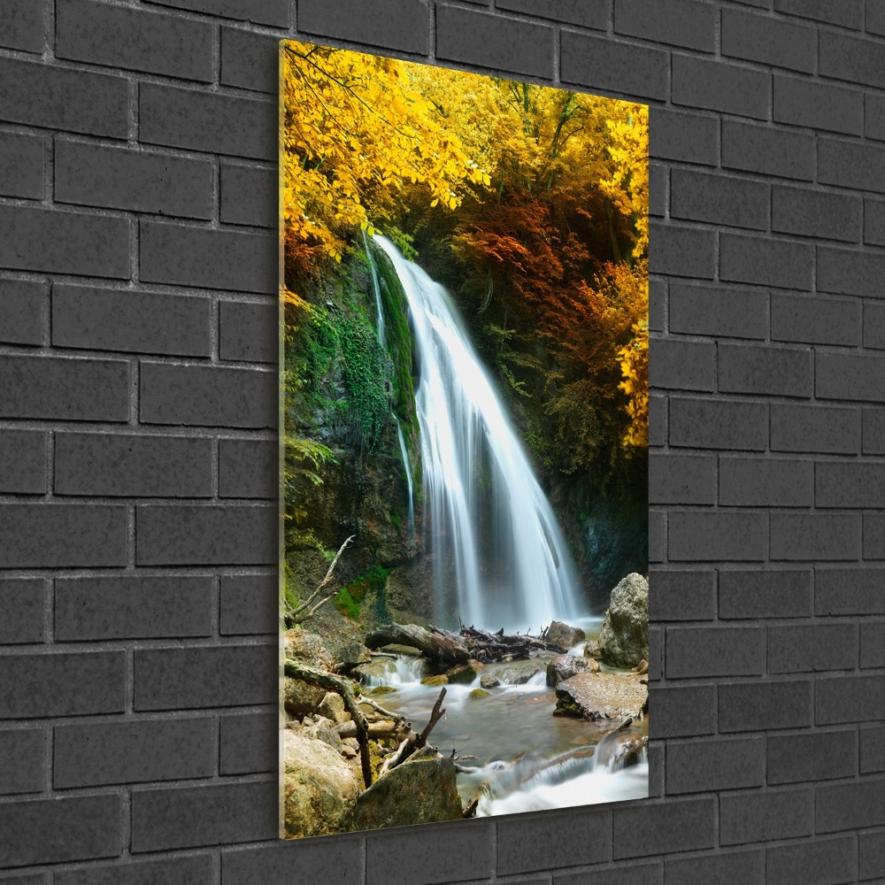 Acrylic wall art Waterfall in the forest