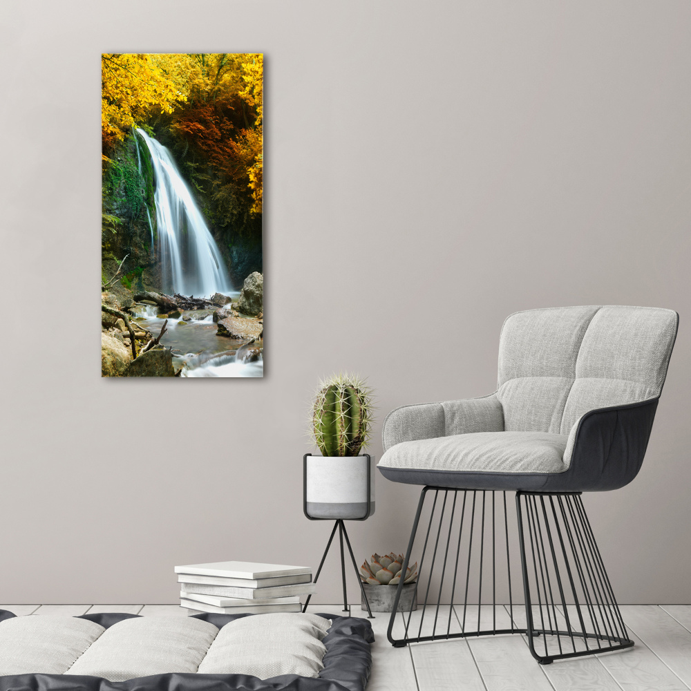 Acrylic wall art Waterfall in the forest