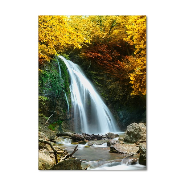 Acrylic wall art Waterfall in the forest