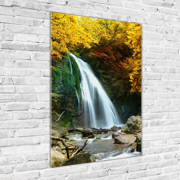 Acrylic wall art Waterfall in the forest