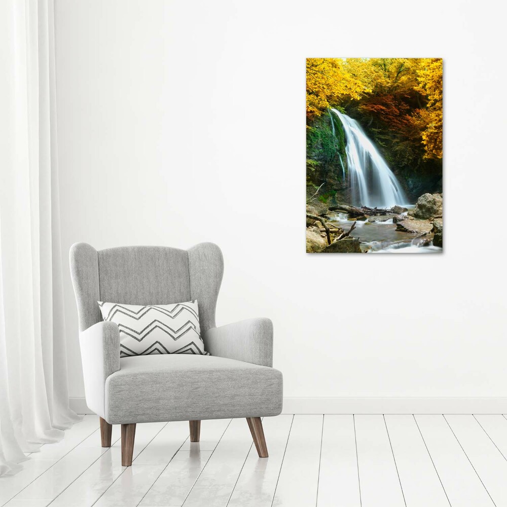 Acrylic wall art Waterfall in the forest