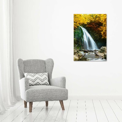 Acrylic wall art Waterfall in the forest