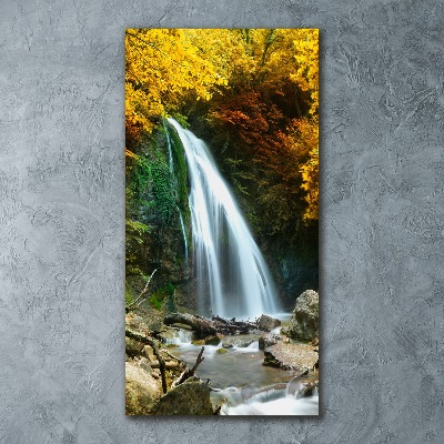 Acrylic wall art Waterfall in the forest