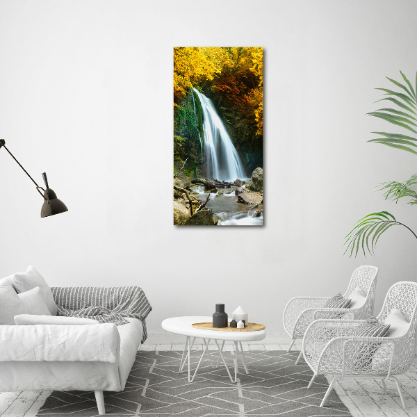 Acrylic wall art Waterfall in the forest