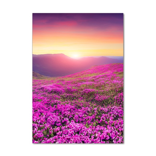 Wall art acrylic Rhododendron mountains