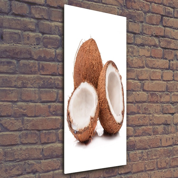 Acrylic glass print Coconut