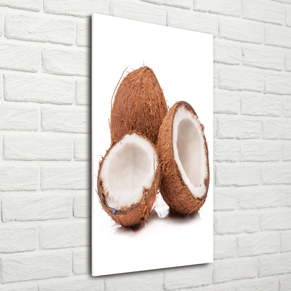 Acrylic glass print Coconut