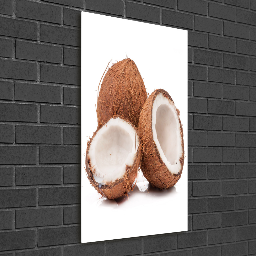 Acrylic glass print Coconut