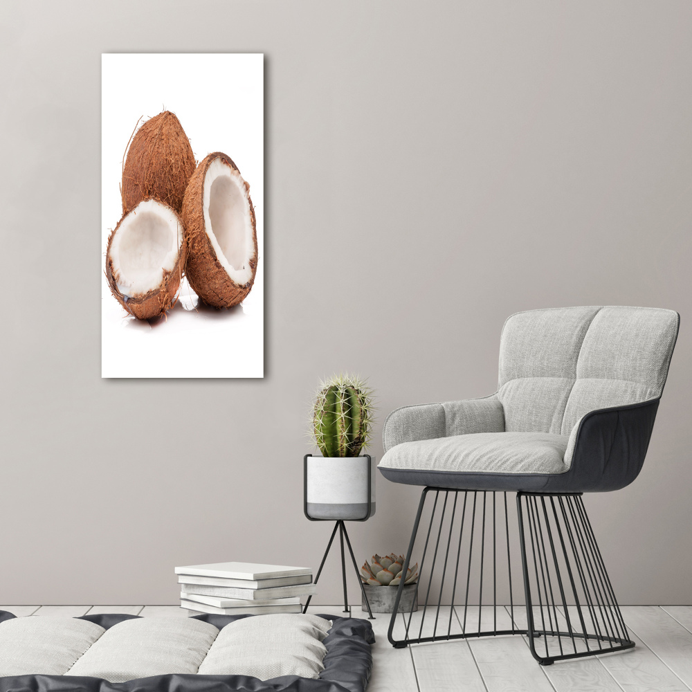 Acrylic glass print Coconut