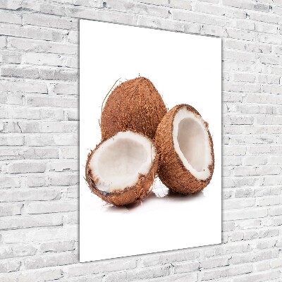 Acrylic glass print Coconut