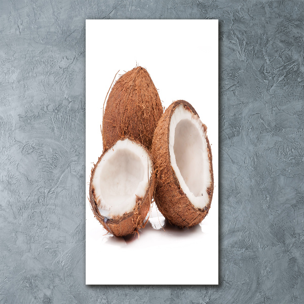 Acrylic glass print Coconut