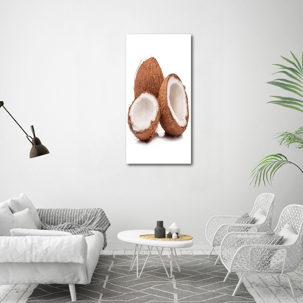 Acrylic glass print Coconut