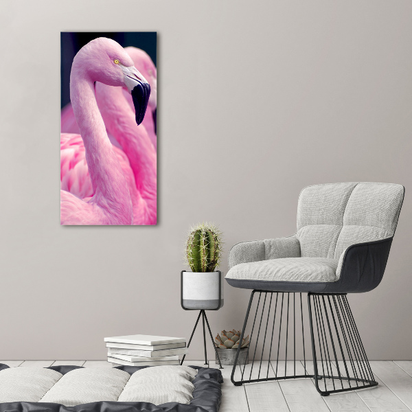 Acrylic glass print Flamingos