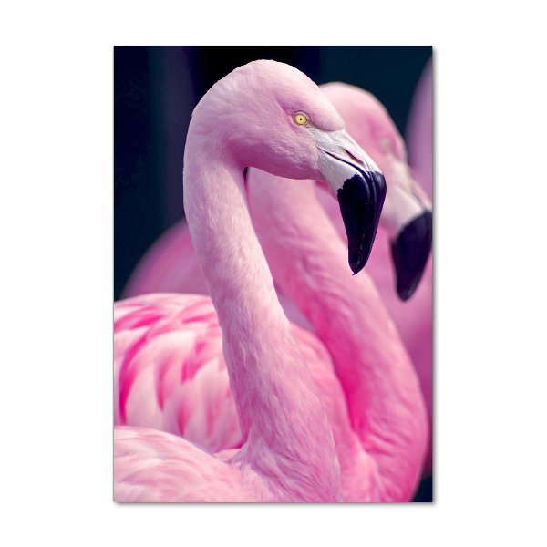 Acrylic glass print Flamingos