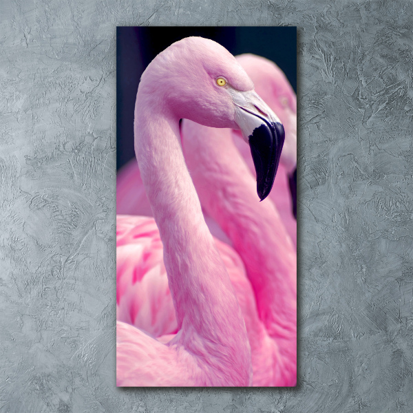 Acrylic glass print Flamingos