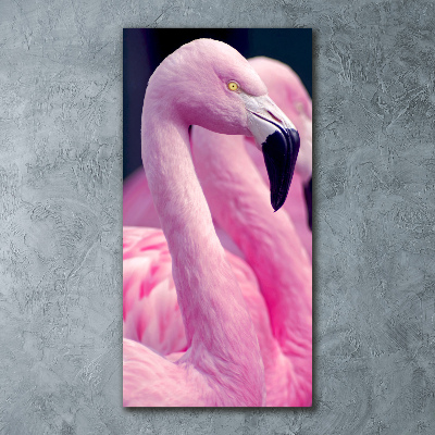 Acrylic glass print Flamingos