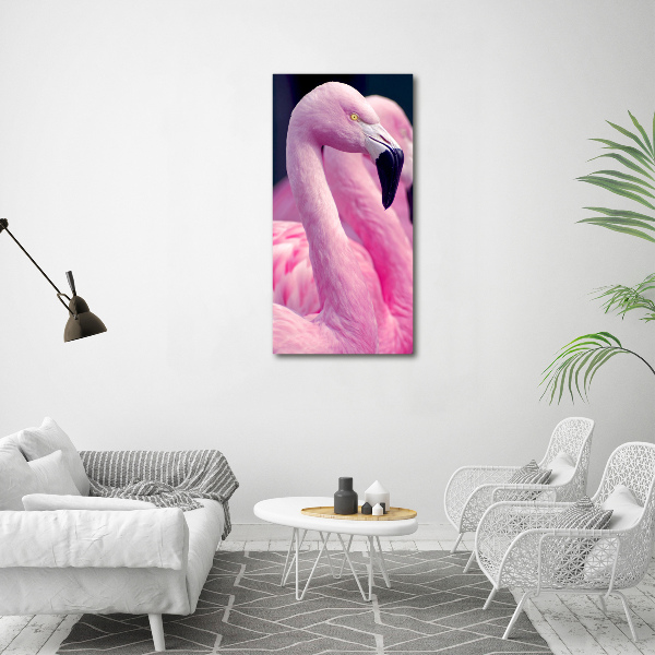 Acrylic glass print Flamingos