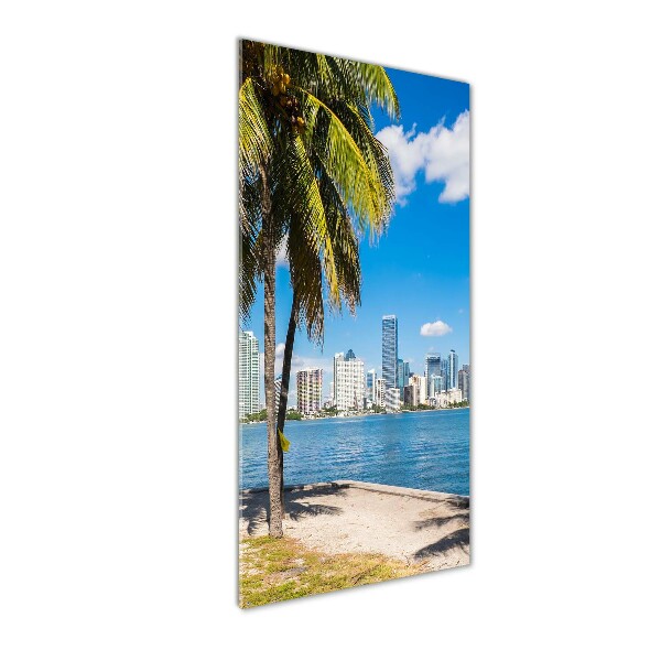 Print on acrylic Miami