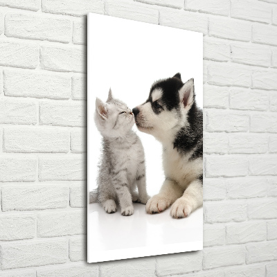 Acrylic glass print Dog and cat