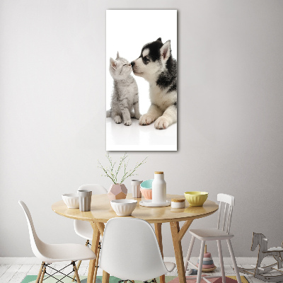 Acrylic glass print Dog and cat