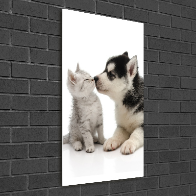 Acrylic glass print Dog and cat